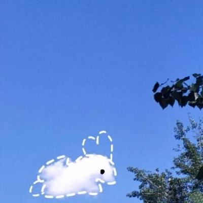 金年会官方APP下载