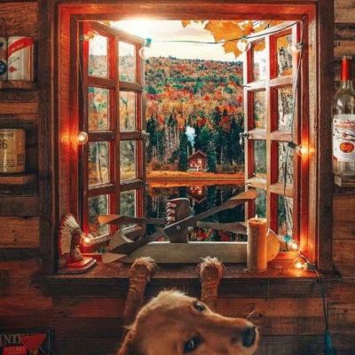 网上下单的足彩app