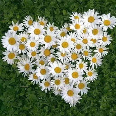 9博体育app下载官网